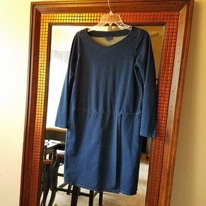 J. Jill Denim Dress
